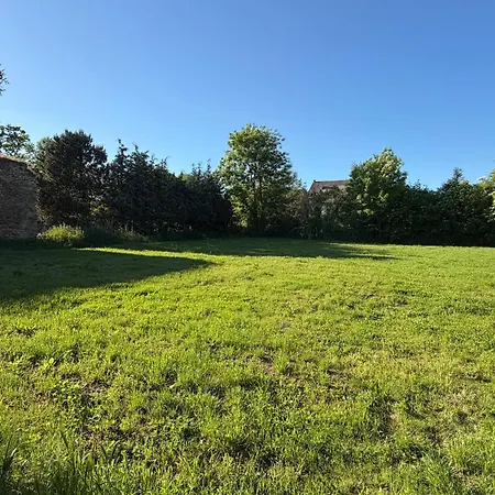 2-zimmer In Magdeburg, Neu & Gemuetlich Appartamento Magdeburgo