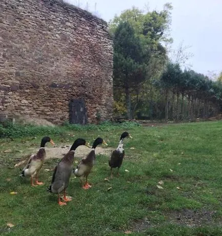 2-zimmer In Magdeburg, Neu & Gemuetlich Lägenhet